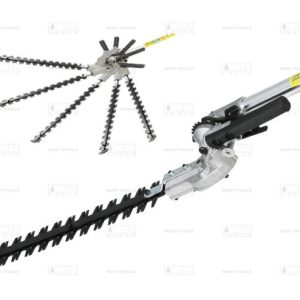 الحاقی شمشاد زن علفتراش