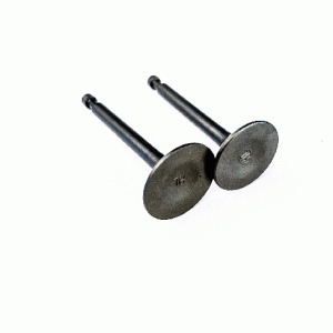 سوپاپ دود هوا موتورپمپ روبین